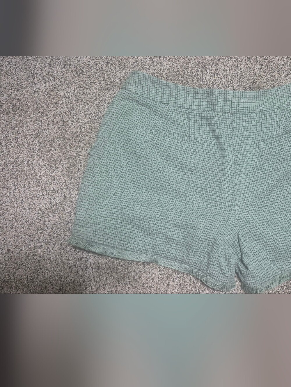 Kaari Blue Sage Green Textured Shorts Size 10 Tweed Fringe Hem Lined Zip Front - Picture 5 of 6